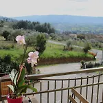 Viole Country Assisi