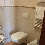 Viole Country Hotel 3*