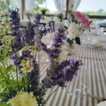 Viole Country Hotel