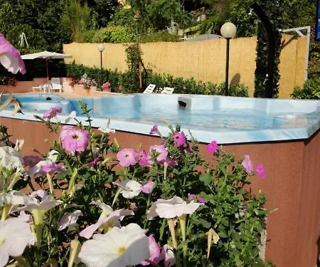 Viole Country アッシジ