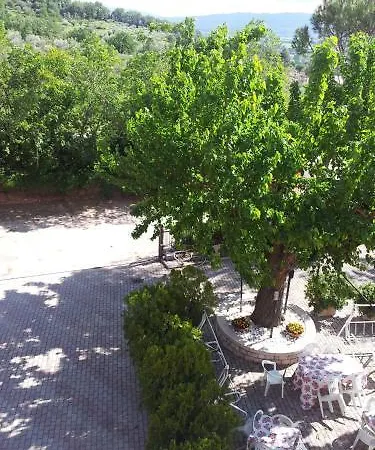 Viole Country Ассизи