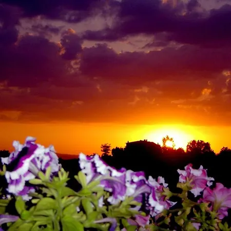 Отель Viole Country