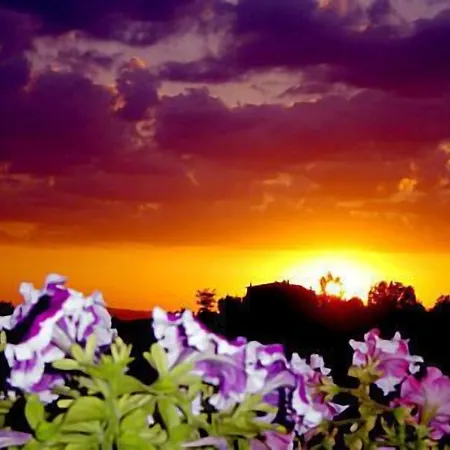 Viole Country ホテル アッシジ