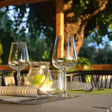 Viole Country アッシジ