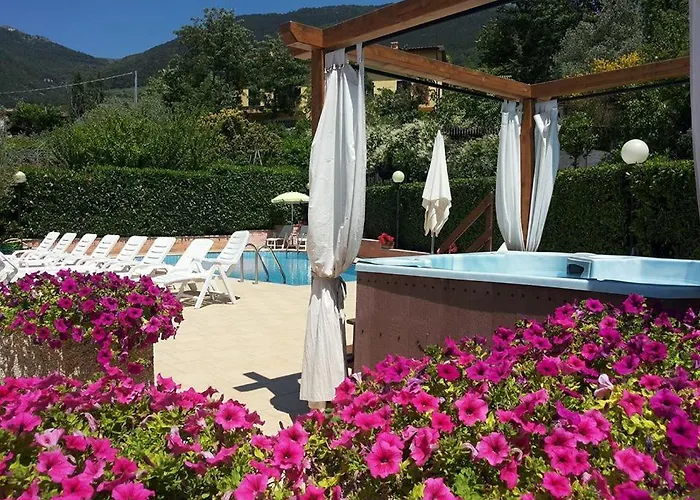 Viole Country أسيسي