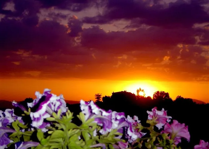 فندق Viole Country