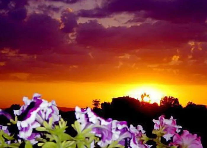 Viole Country Hotel Assisi